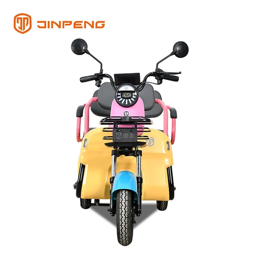 Stylish Design Electric Leisure Tricycle-N10