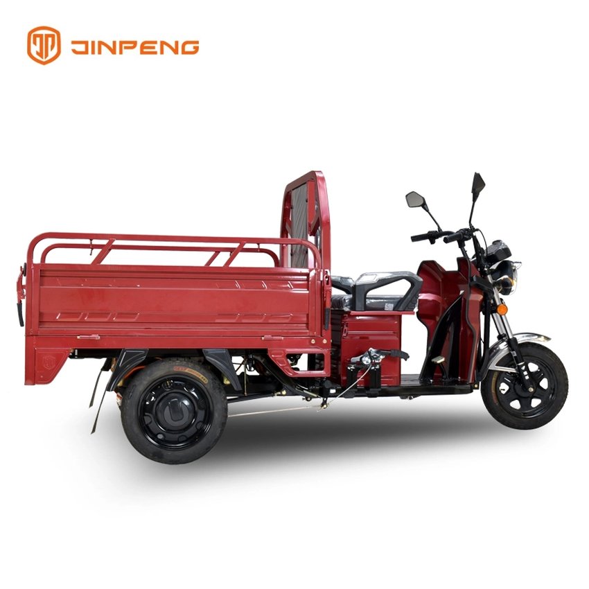 Mini Cargo Passsenger Electric Tricycle-TL130