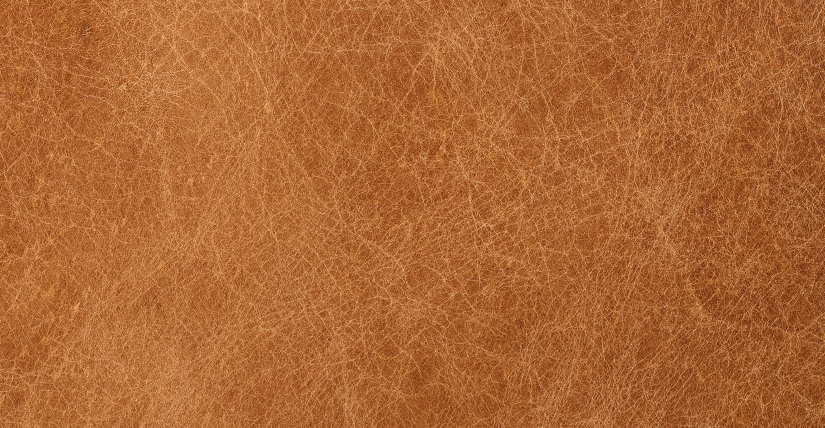 Sorrento Lounge Chair