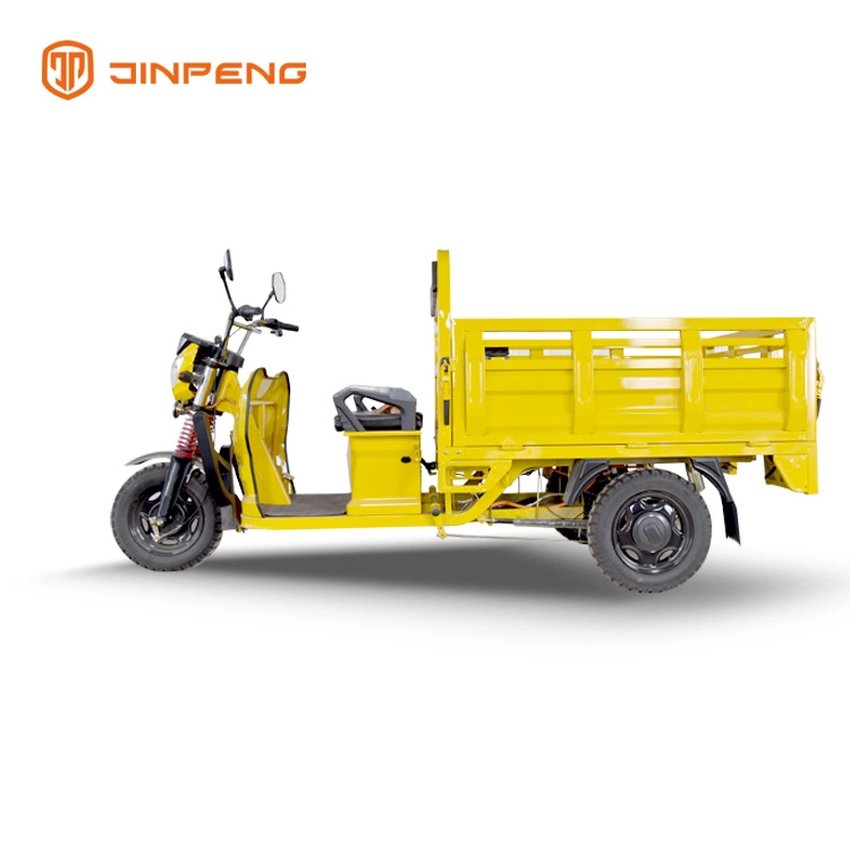 Cargo Use Electric Cargo Trike-DLS150A