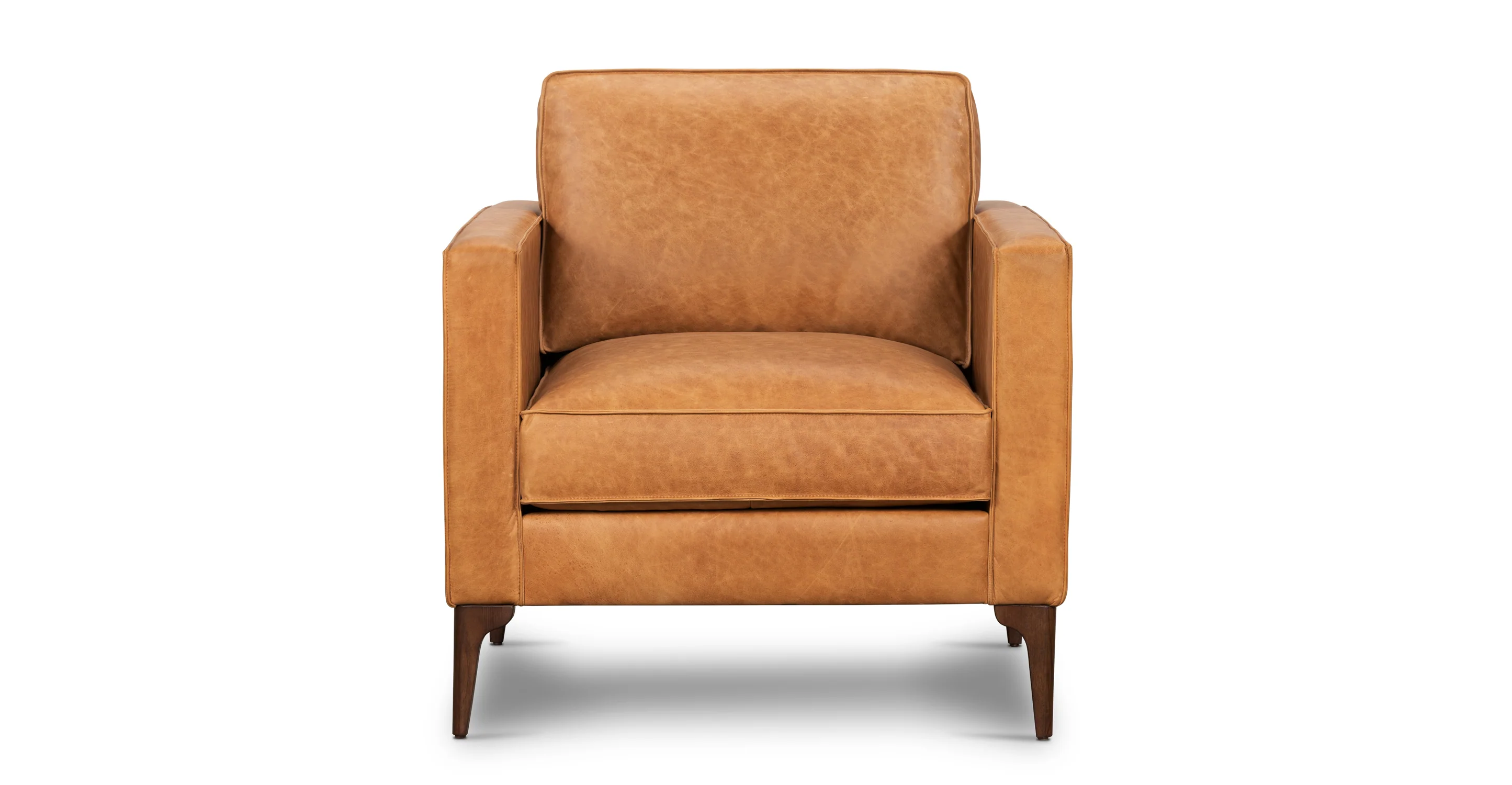 Mateo Leather Lounge Chair