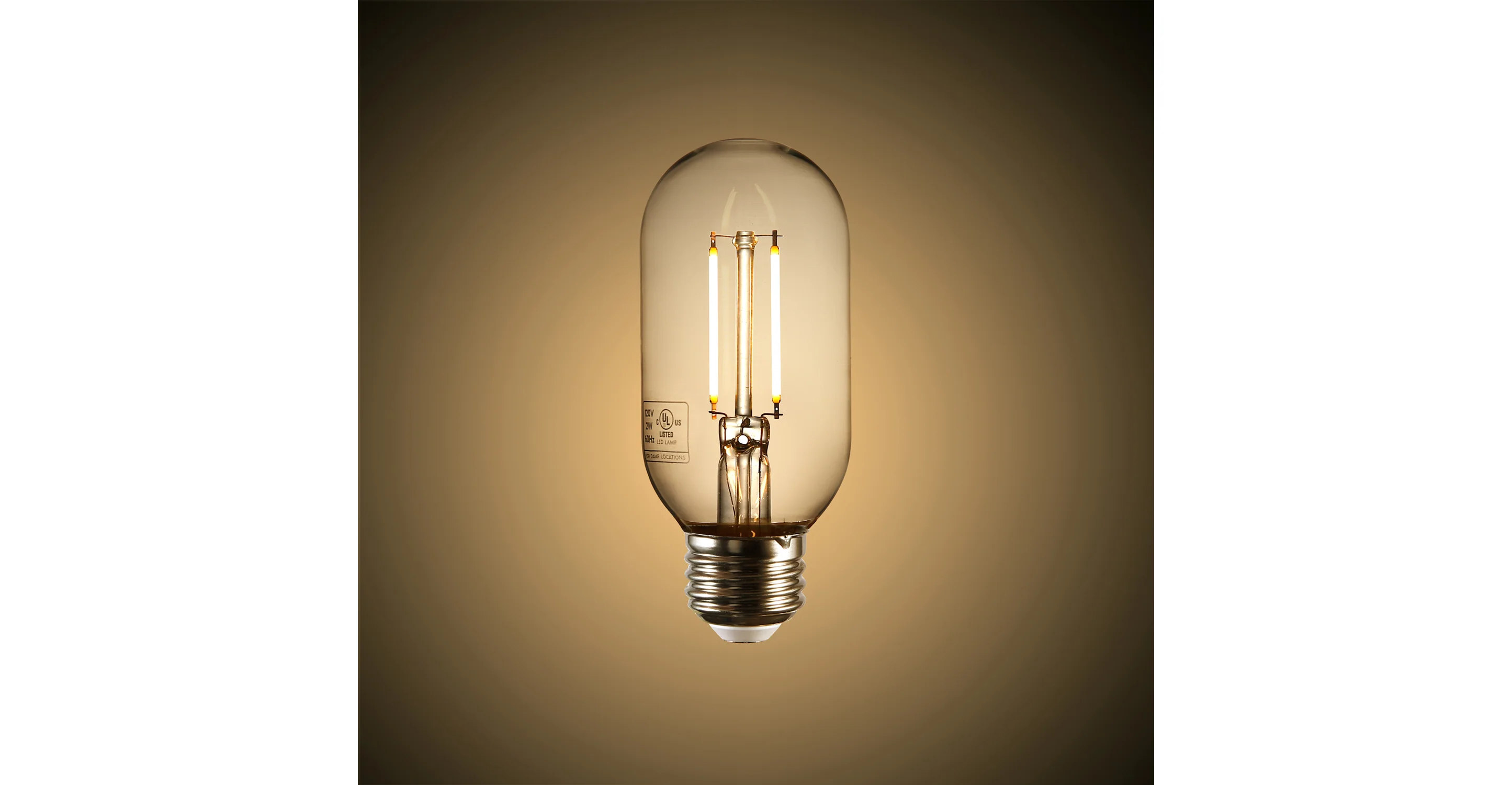 Kashan T14 Clear LED Filament Light Bulb