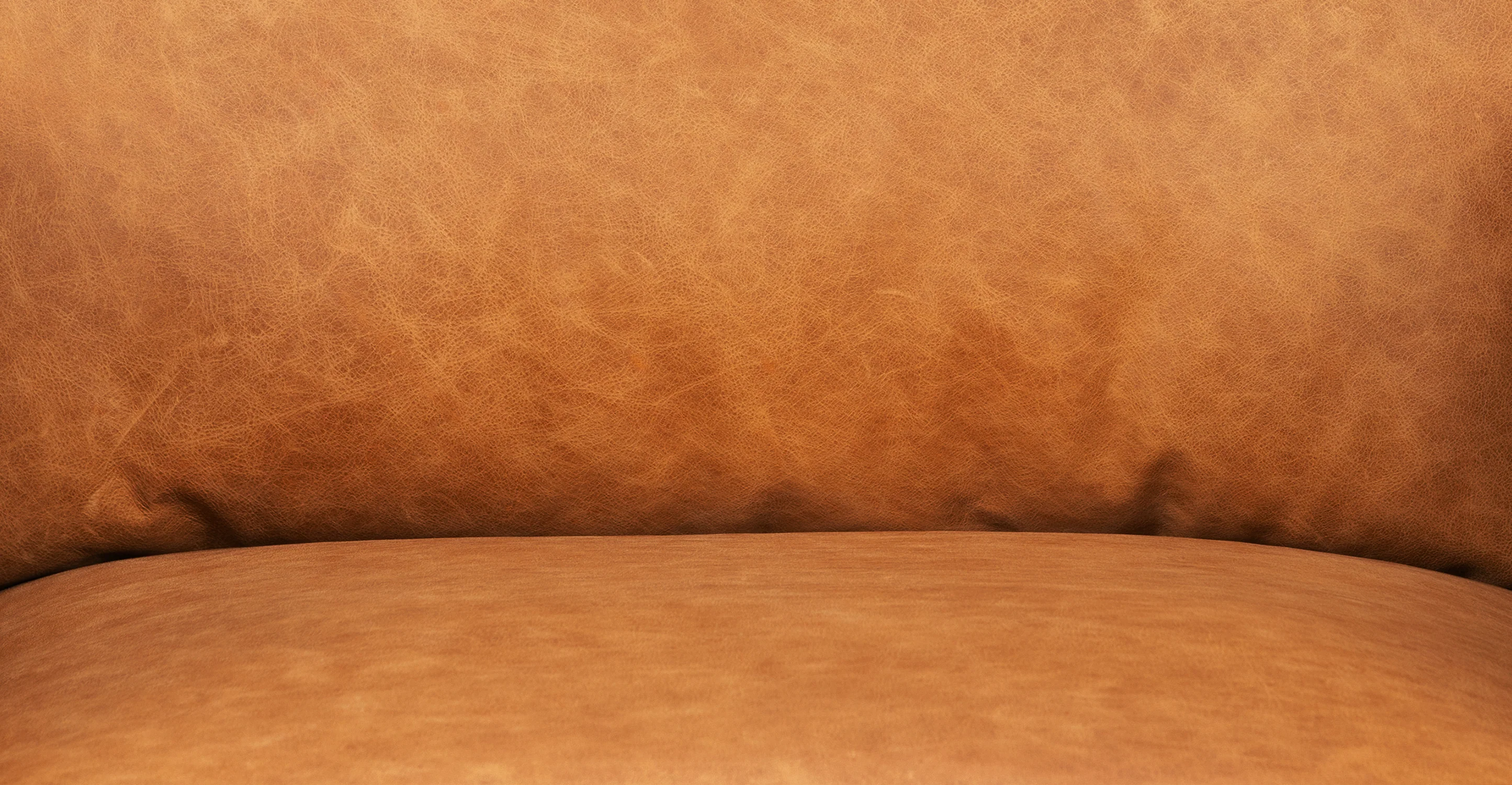 Mateo Leather Lounge Chair