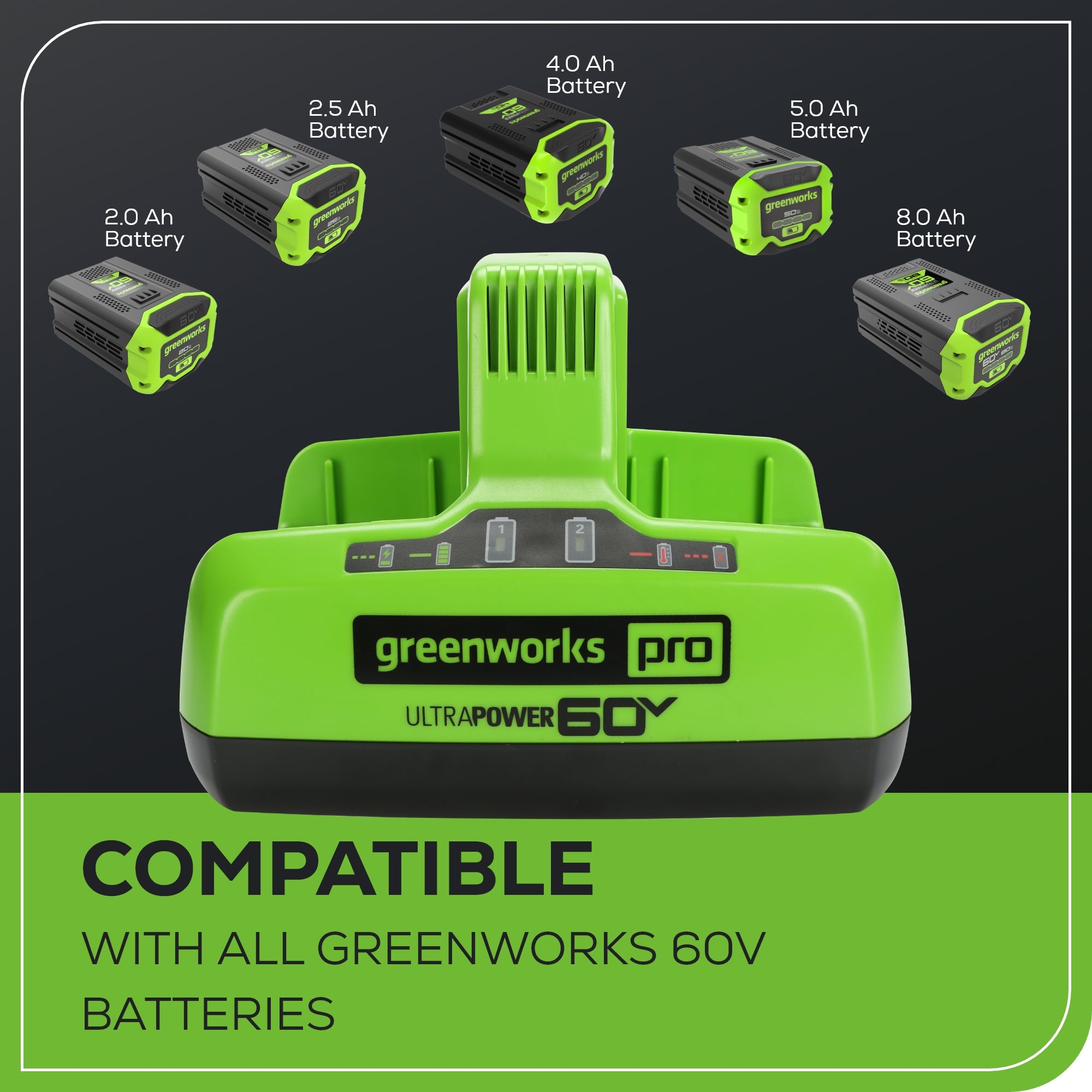 Pro 60V UltraPower 6A Dual-Port Battery Charger