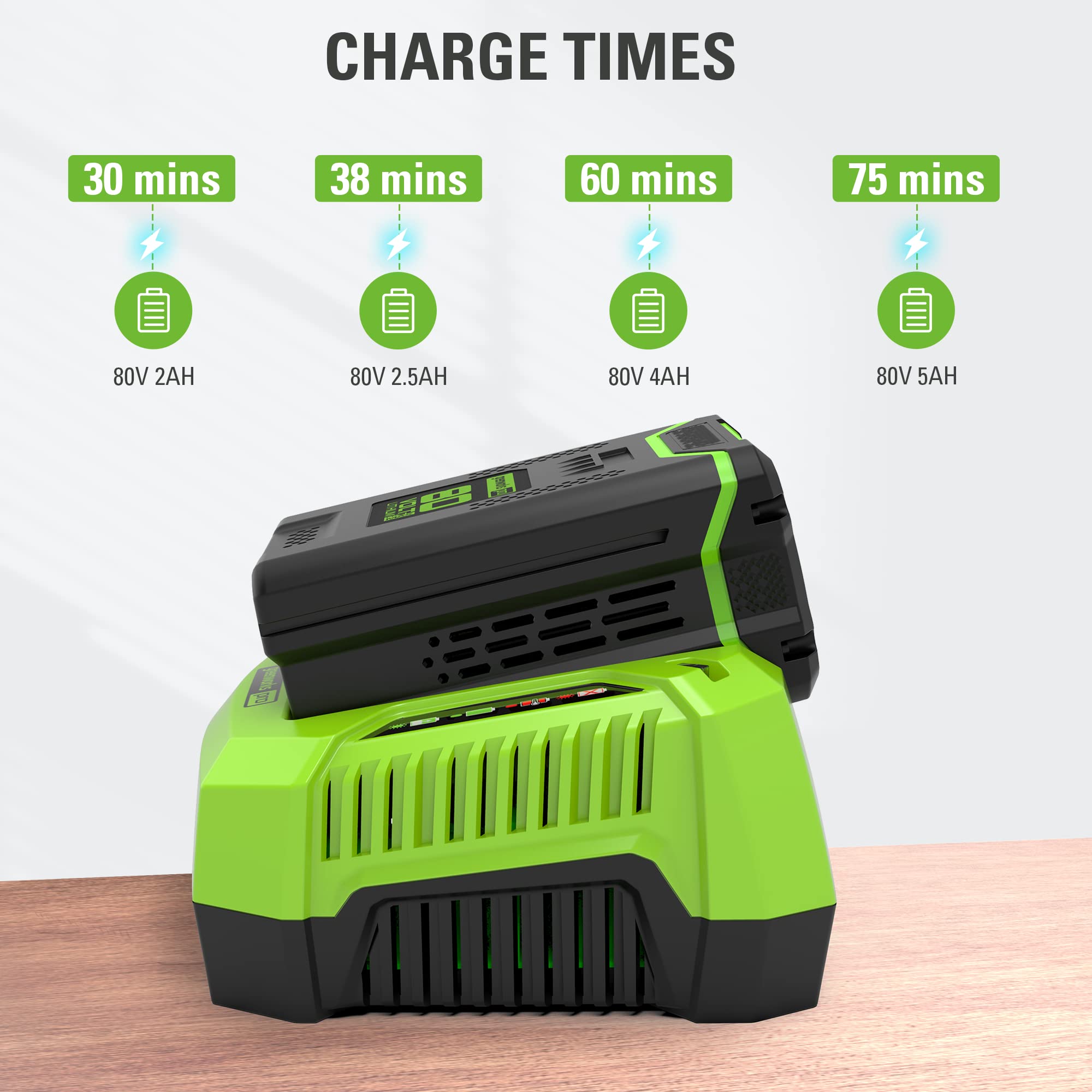 RENEWED 80V 4A Rapid Battery Charger