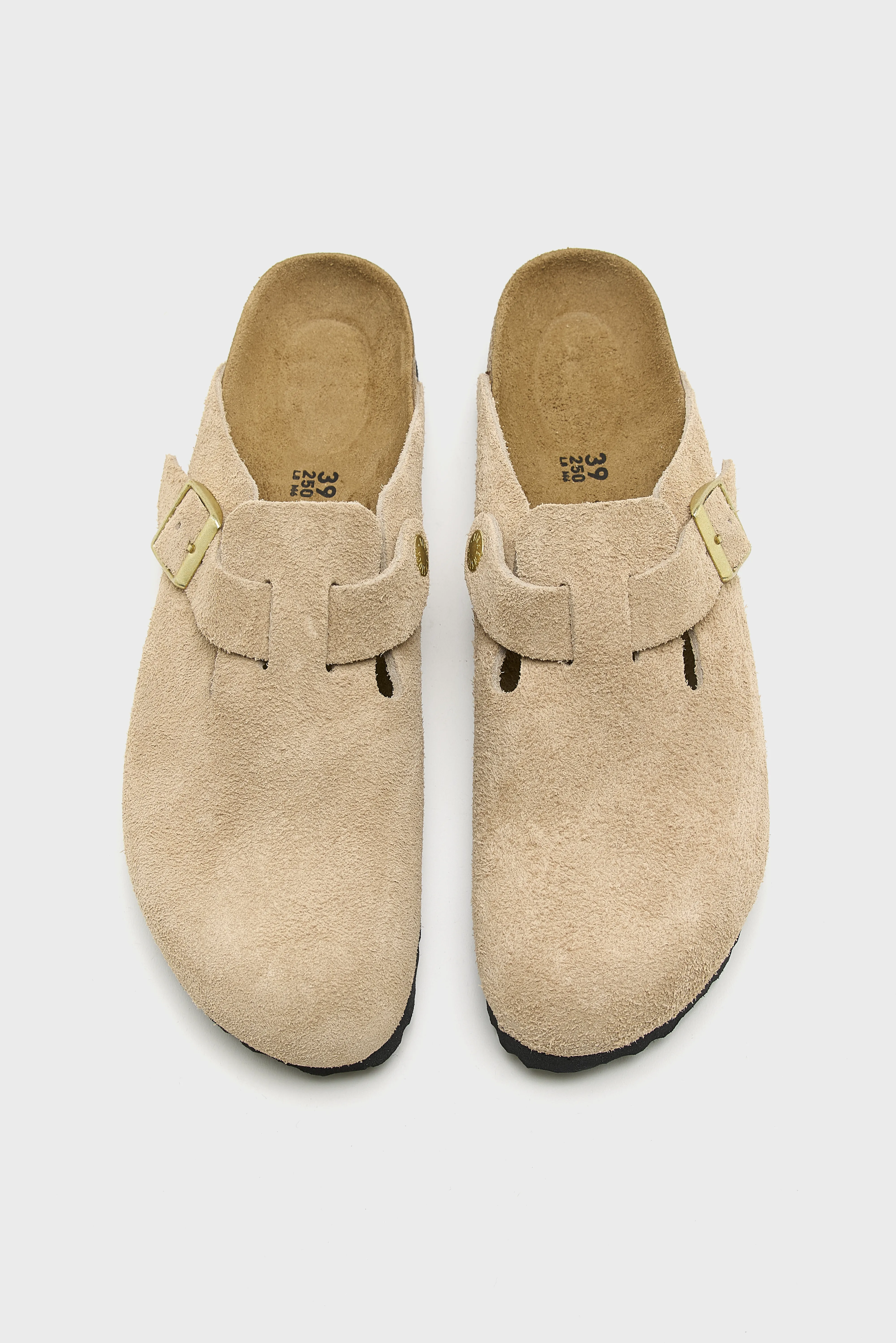 Boston BS Suede for Women  (252 / M / BEIGE)