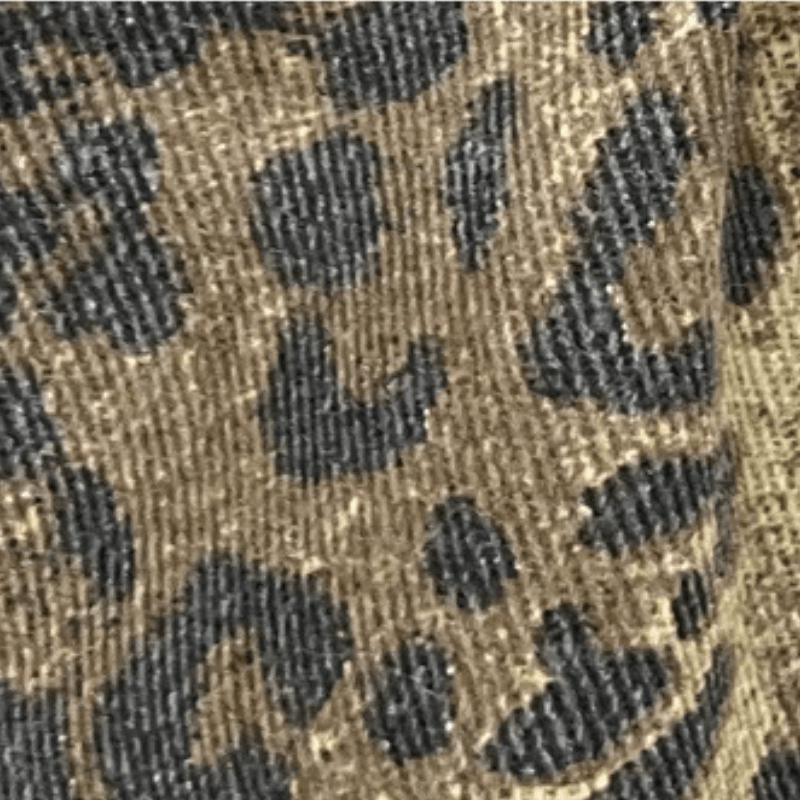 Kid Boy Leopard Print Jeans Pants