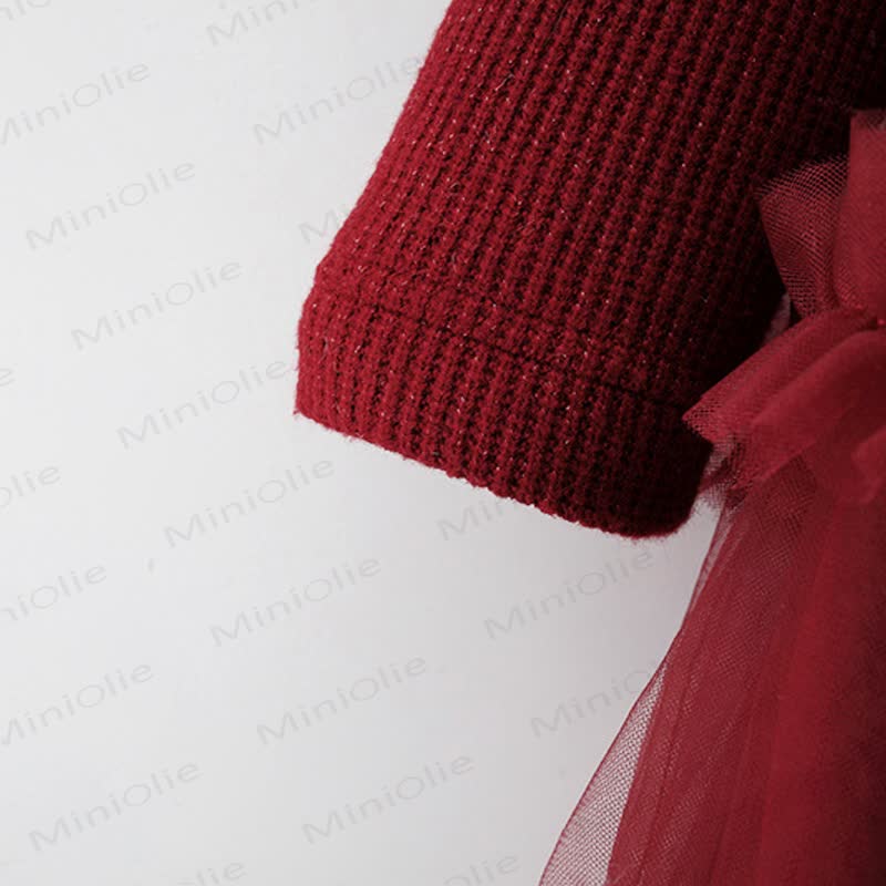 Baby Girl Bear Bow Red Fleece Lined Mesh Dress