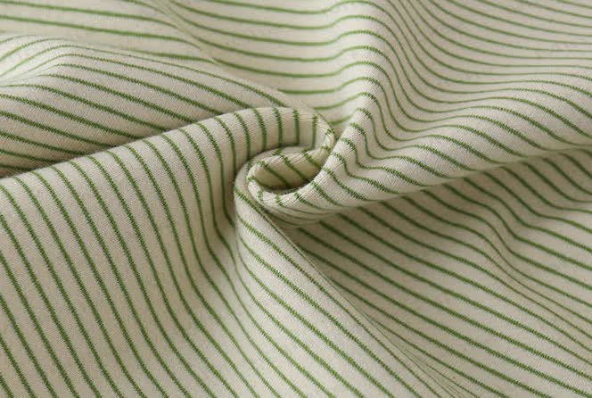 Baby Dino Romper and Striped Tee