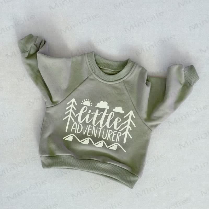 LITTLE ADVENTURER Baby Toddler Grey Green Sweatshirt