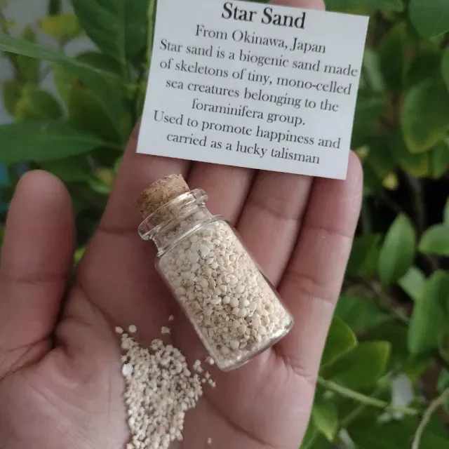 🌟RARE Okinawa Star Sand Jar | Make Wishes Come True
