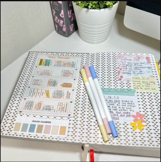 ✝️Bible Study Tracker Stickers