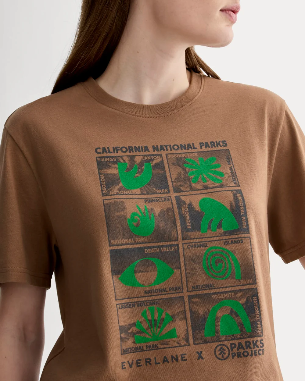 The Everlane x Parks Project Essential Organic Crew | Brown / Green / Forged Iron