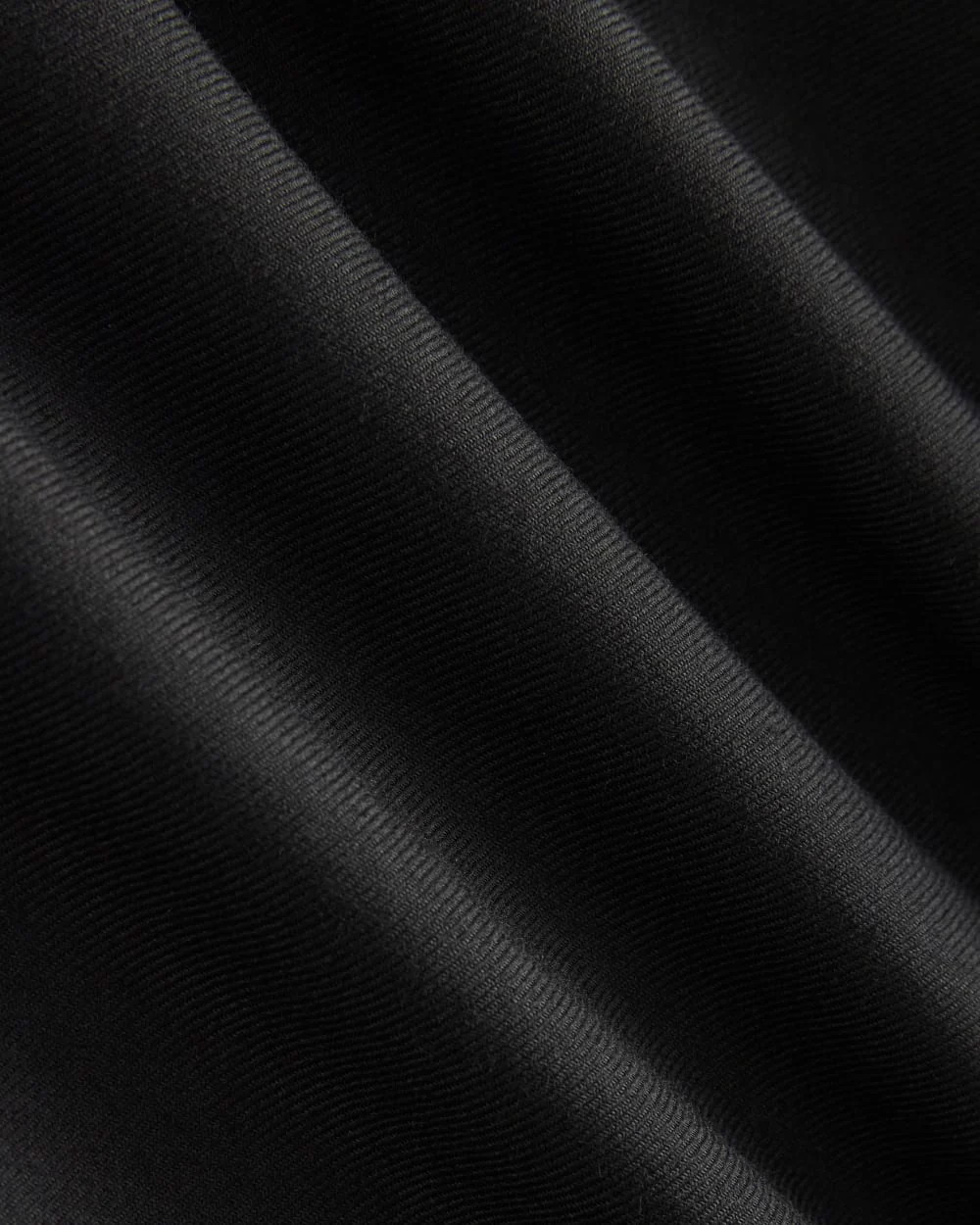 Pleated Trouser in Tailor Twill |  Black