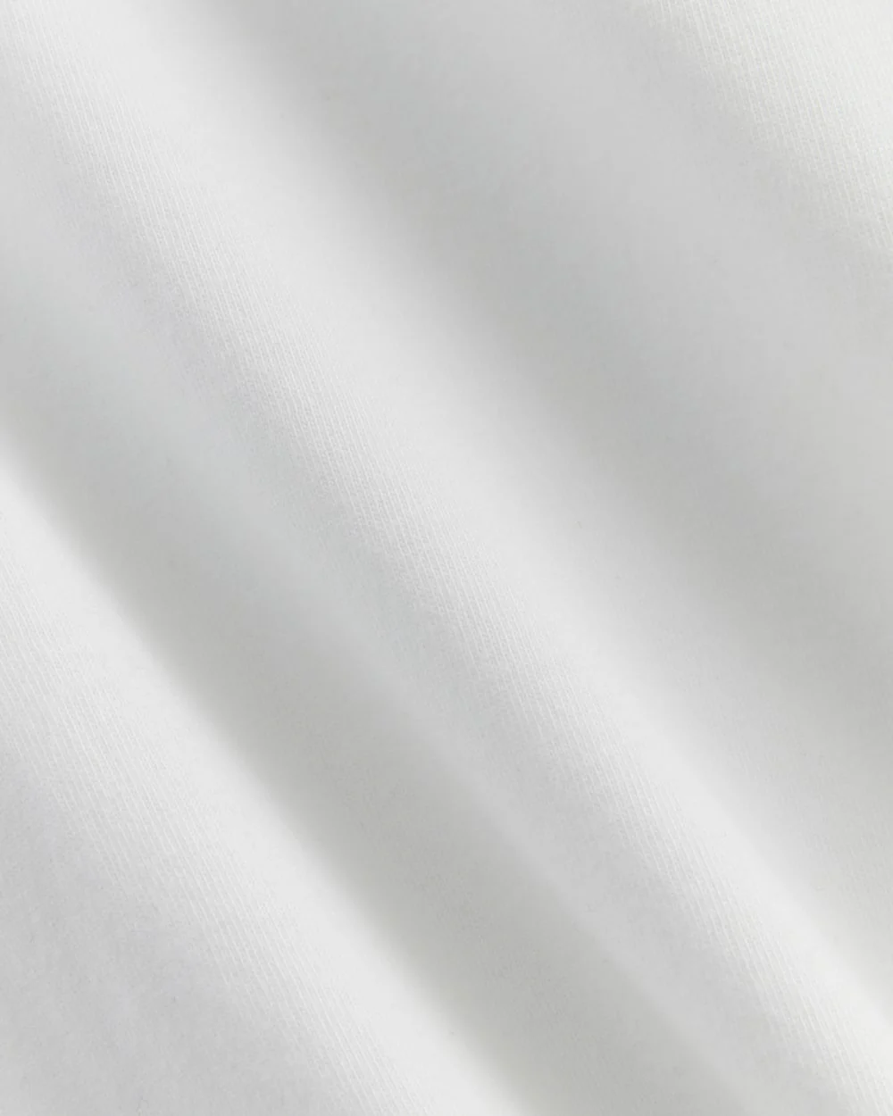 The Slim Crew in Essential Cotton | White