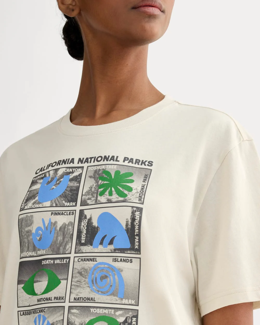 The Everlane x Parks Project Essential Organic Crew | Forged Iron / Birch / Granada Sky Blue / Green