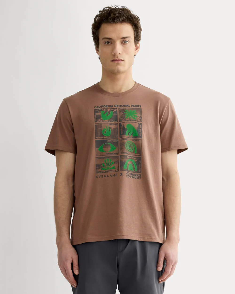 The Everlane x Parks Project Essential Organic Crew | Brown / Green / Forged Iron