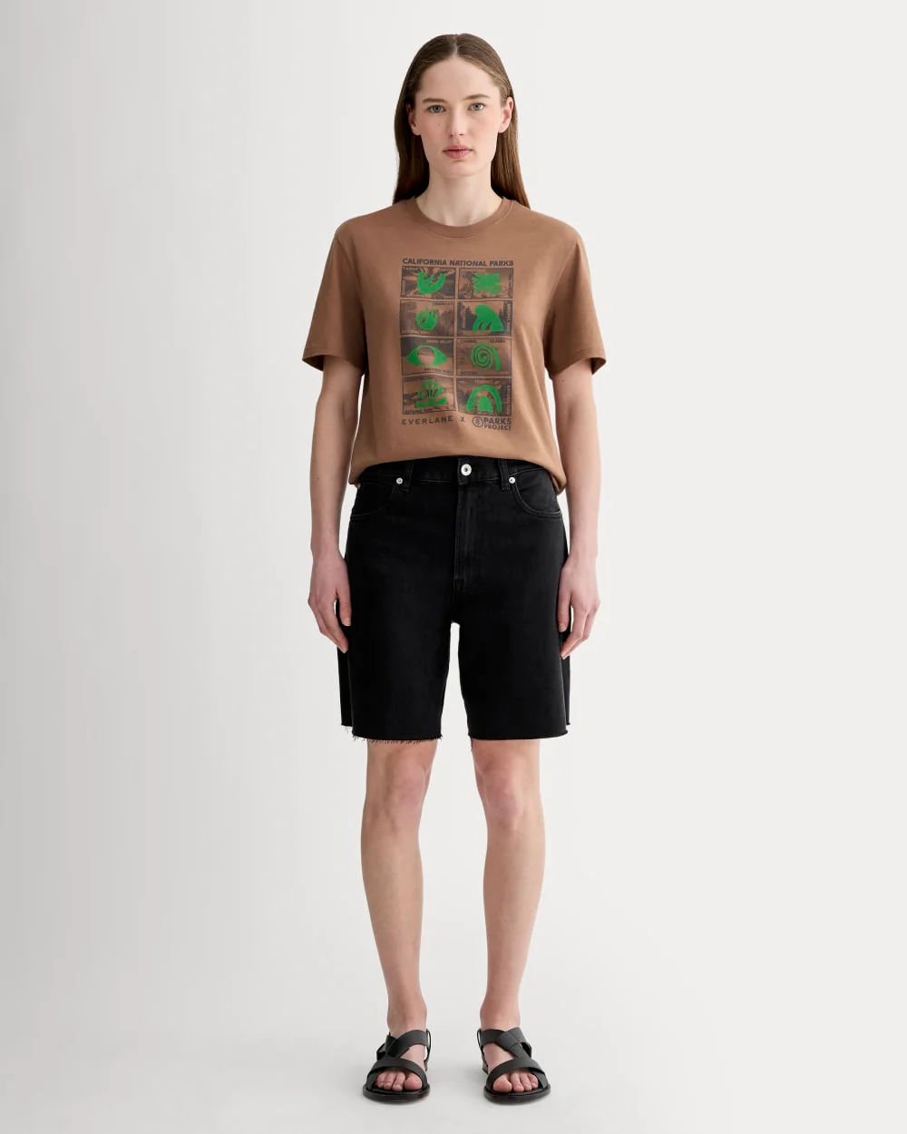 The Everlane x Parks Project Essential Organic Crew | Brown / Green / Forged Iron