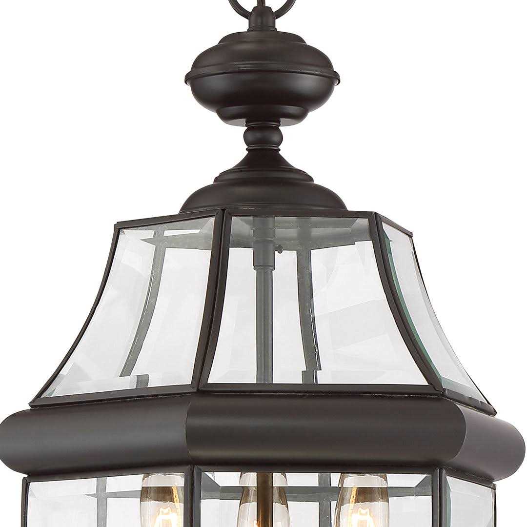 Washington Mews 3 -Bulb 21 H Outdoor Hanging Lantern Charlton Home Fixture Finish