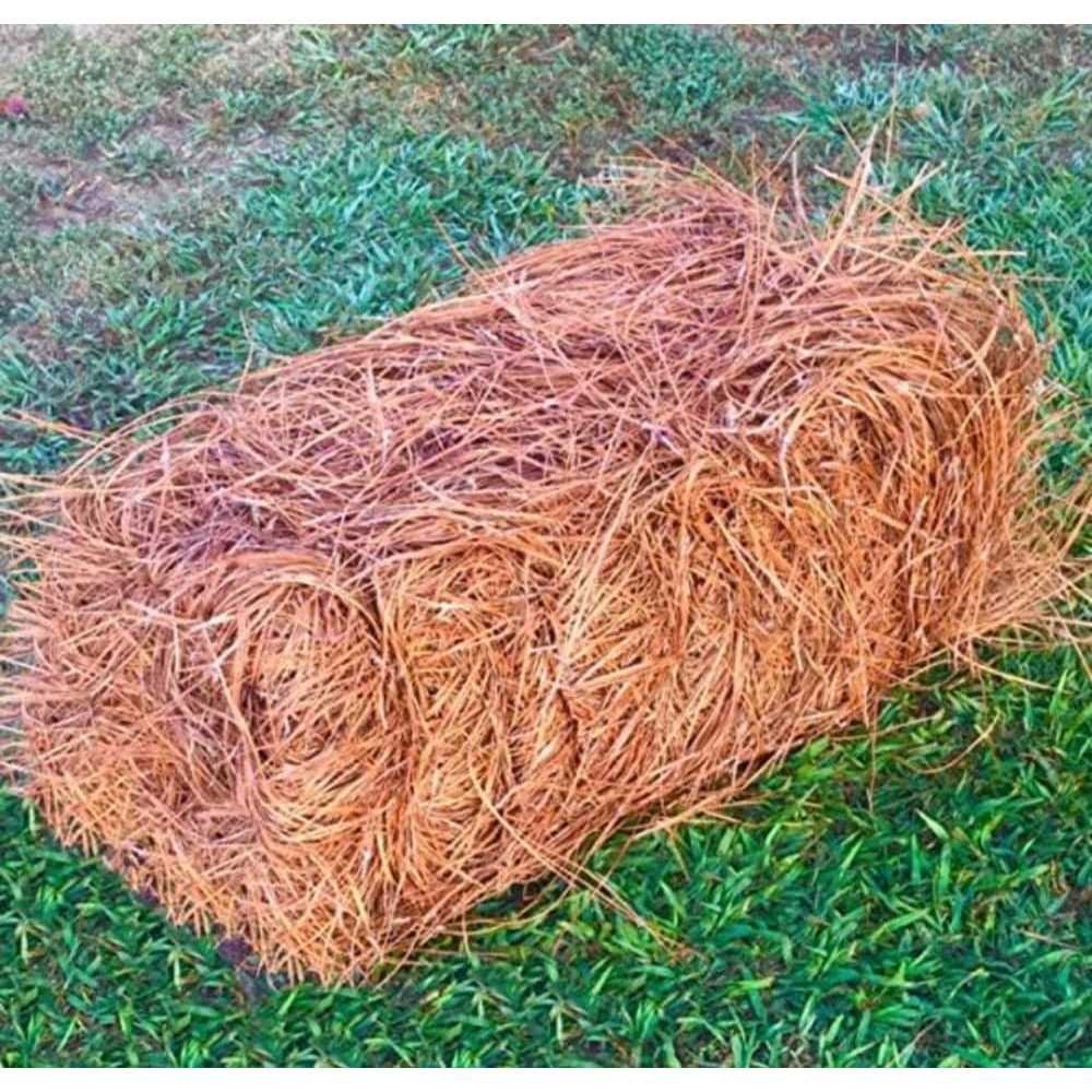 USA Pinestraw Premium Pine Straw Mulch B07LDVP4VN