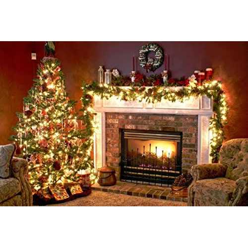 Stardunes Christmas Light Controller 16 Flash/Fade Functions