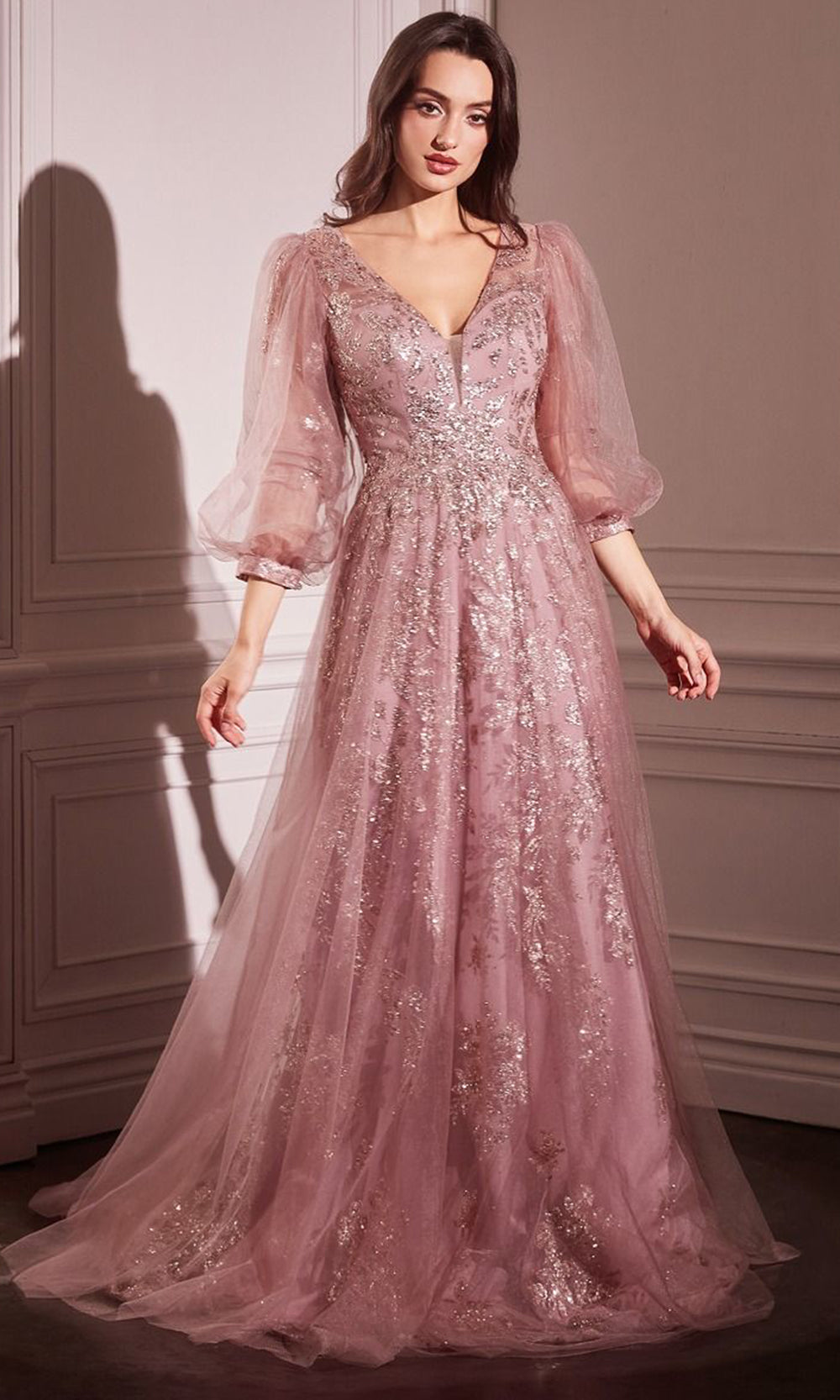 Long Sleeve Applique Gown
