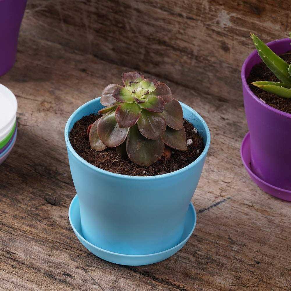 TDHDIKE 10 Pcs Plastic Planters Indoor Pots Mini Flower Seedlings Nursery Flower Pot with Pallet