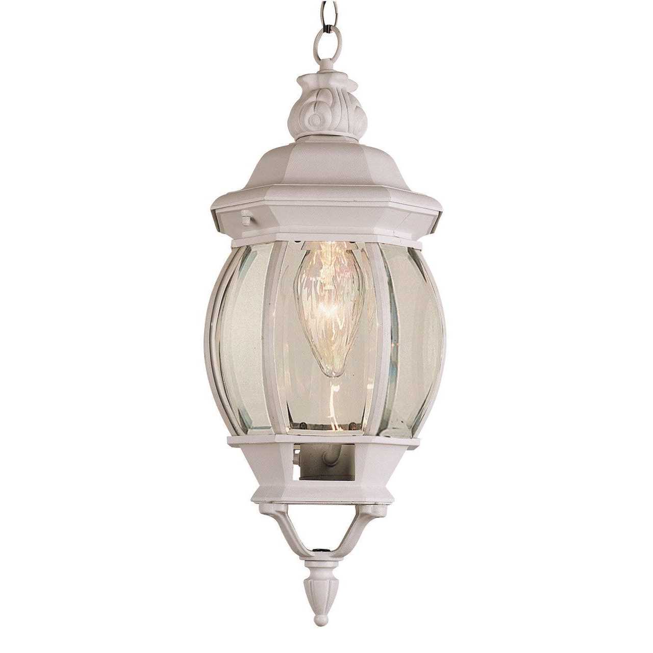 Trans Globe 4065 1 Light Hanging Lantern