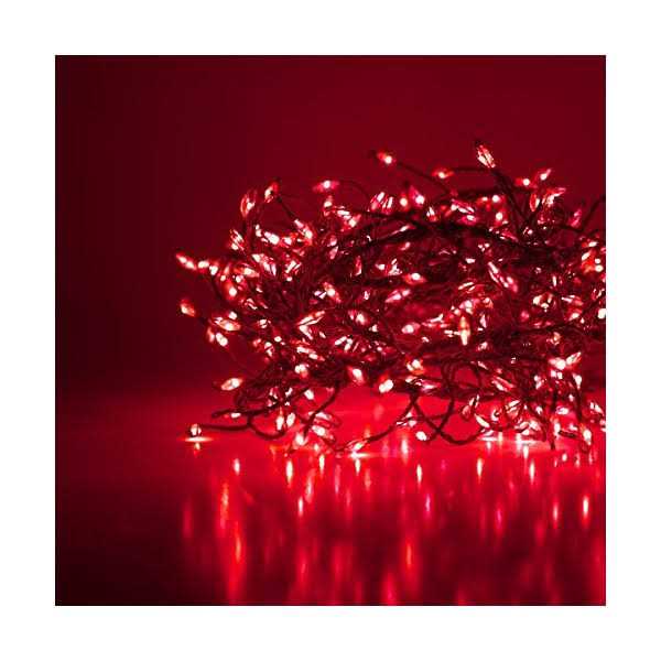 Wintergreen Lighting LED Cluster String Lights