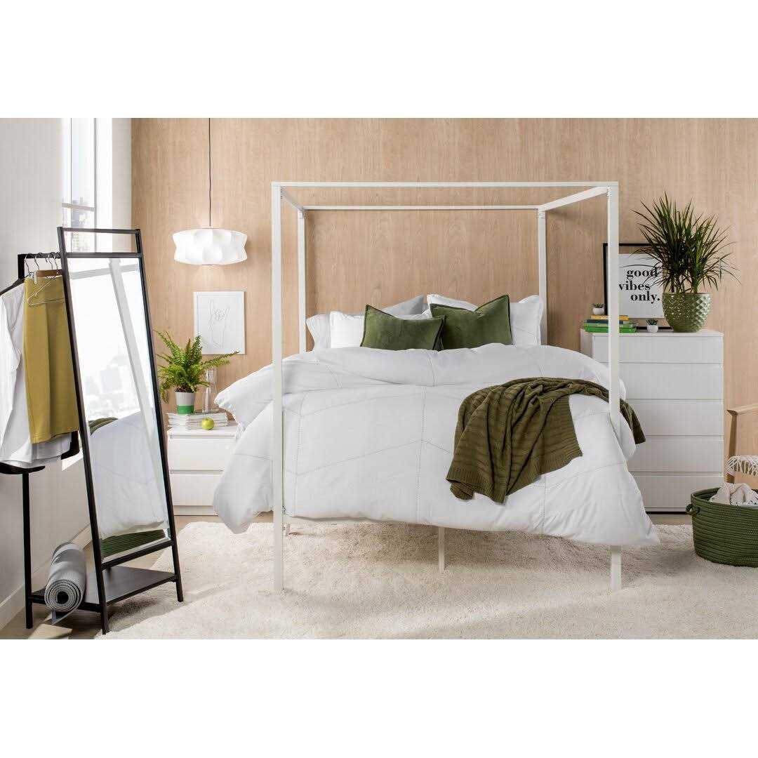 AllModern Edgar Square 100% Cotton Pillow Cover & Insert