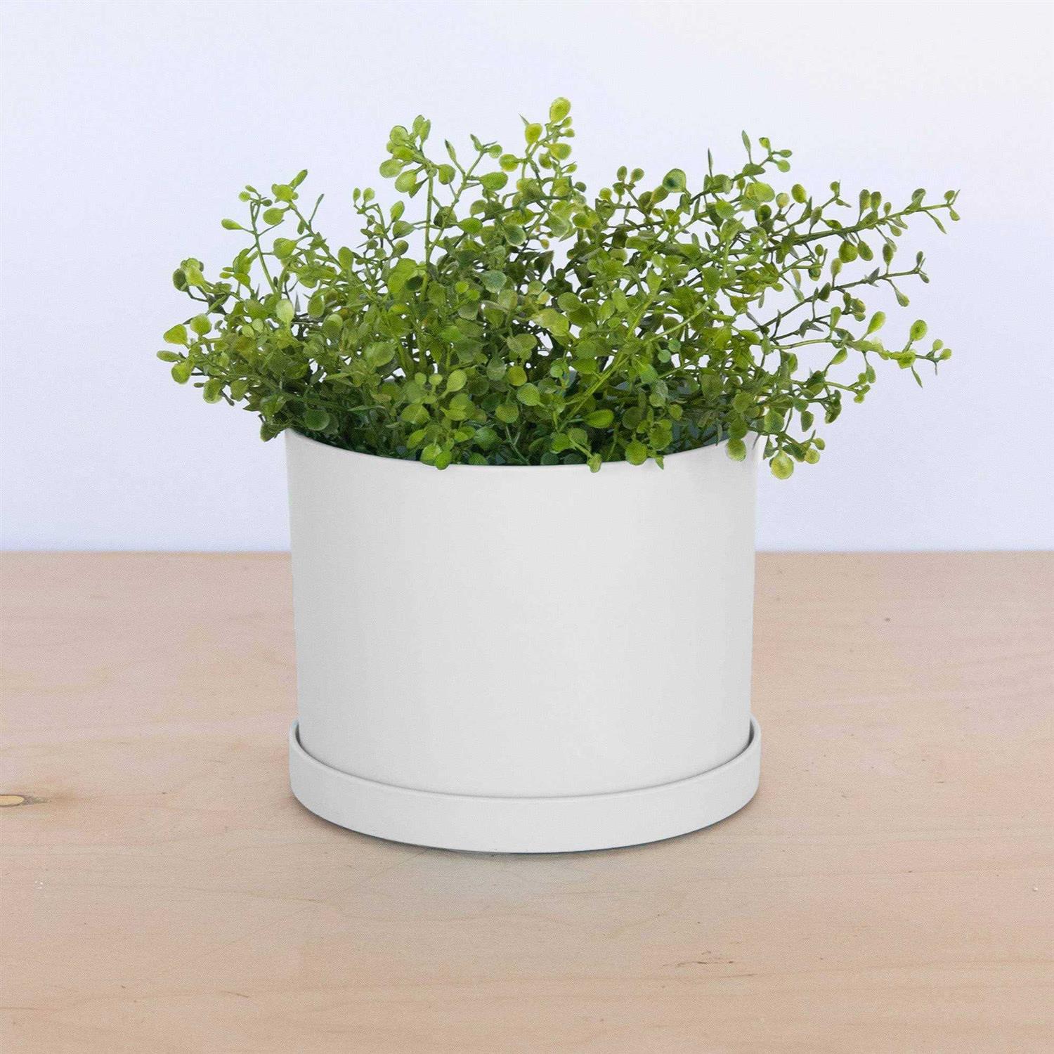 Bloem Mathers Plastic Planter Saucer Tray