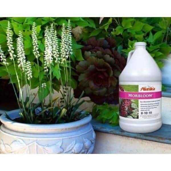 Alaska Morbloom Fertilizer