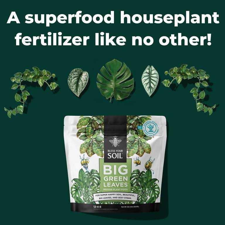 Bless Your Soil Big Green Leaves All Purpose House Plant Food Container Plants