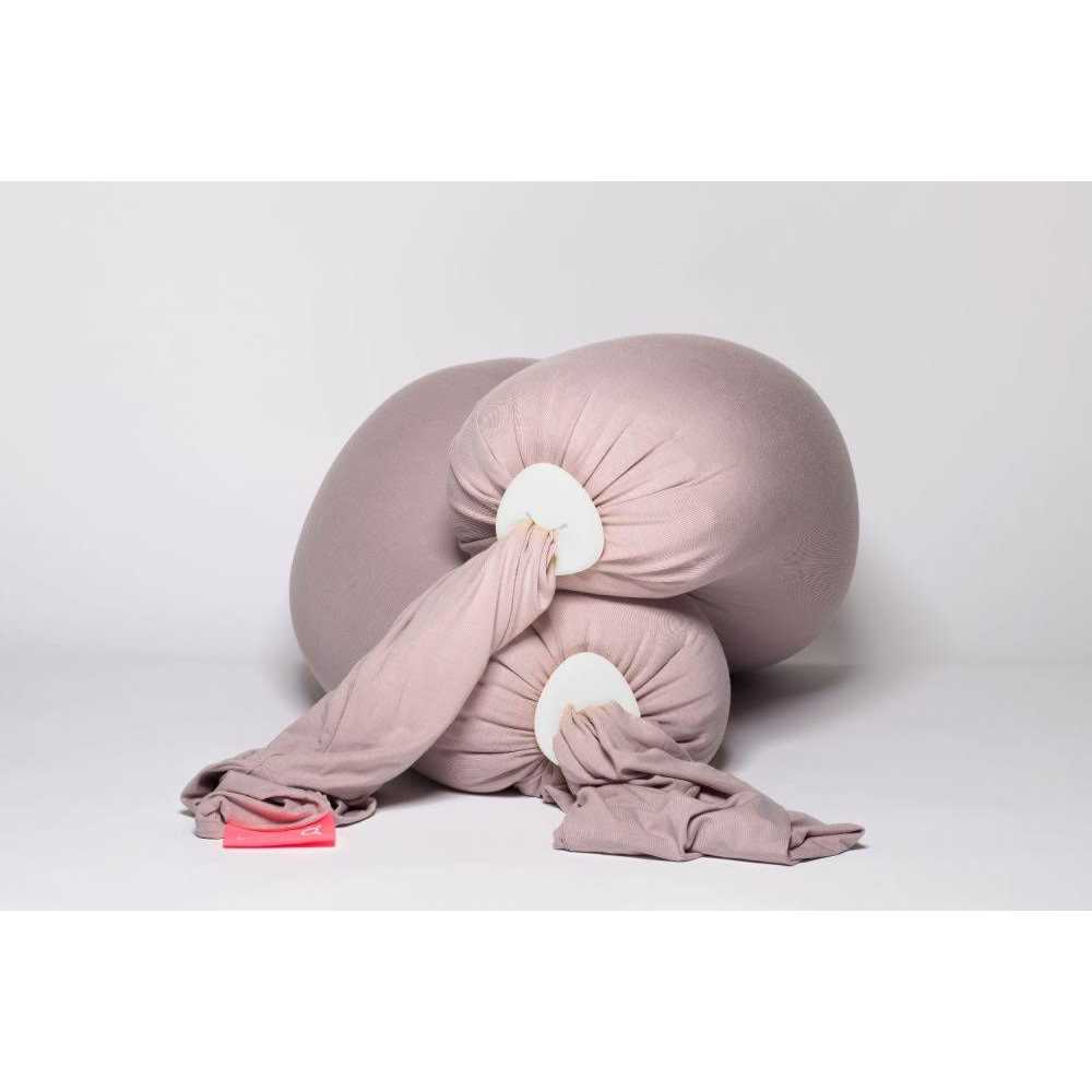 bbhugme Pregnancy Pillow