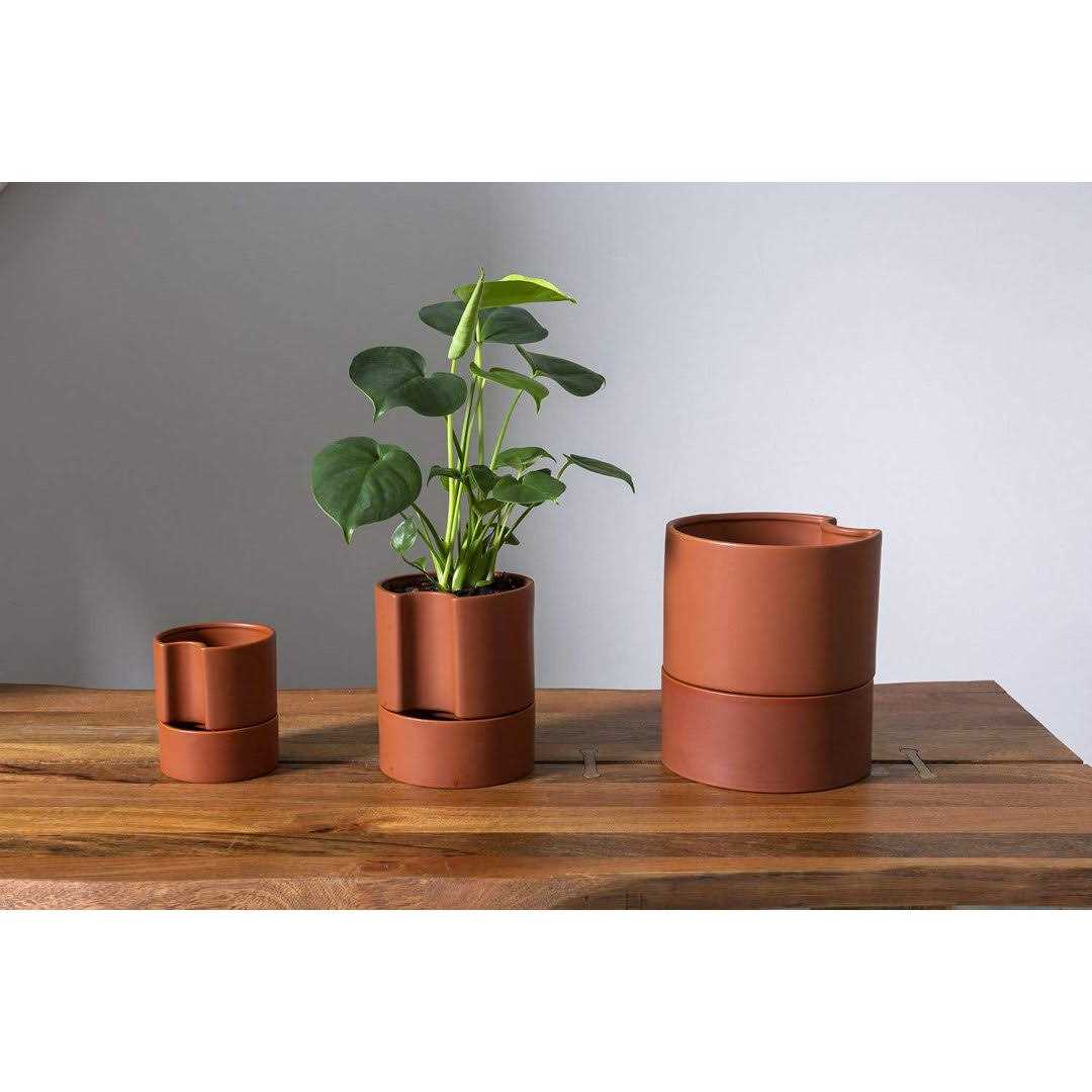 AllModern Patti Self-Watering Ceramic Pot Planter