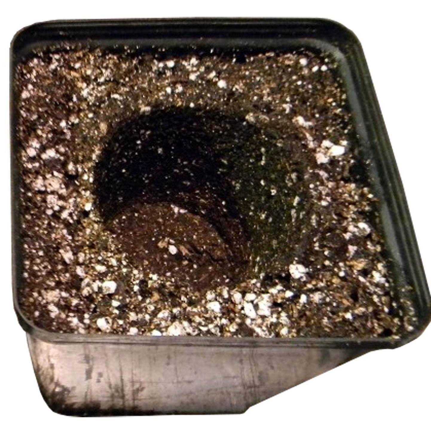 Black Gold Natural & Organic Potting Soil