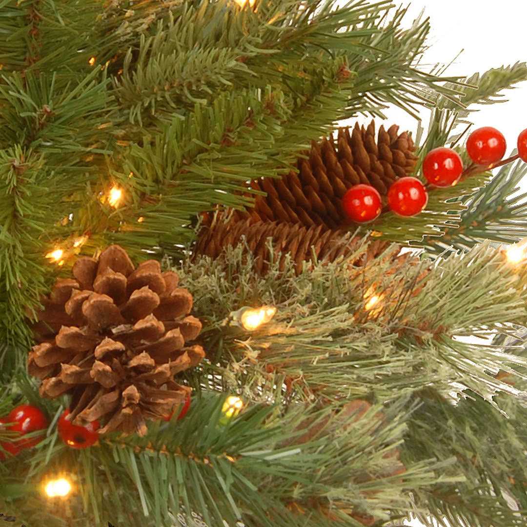 Annagrove Pre-Lit Swag with 35 Clear/White Lights The Holiday Aisle