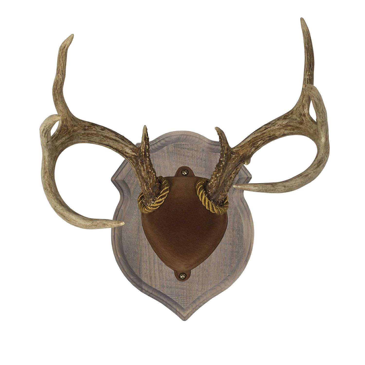 Walnut Hollow Deluxe Antler Display Kit