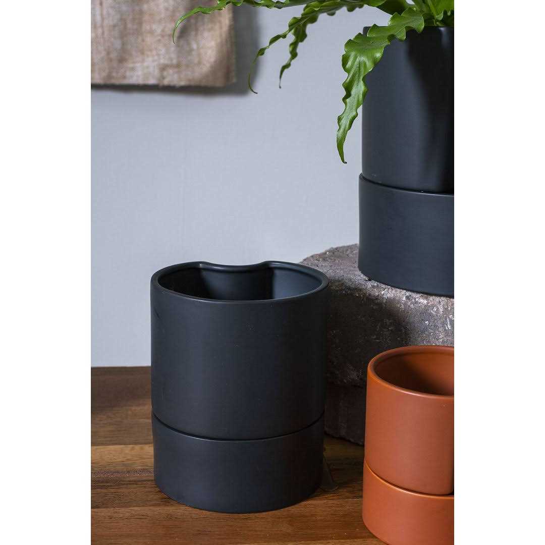 AllModern Patti Self-Watering Ceramic Pot Planter