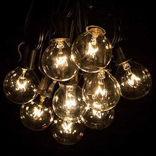 25 Foot G40 Globe String Lights with Bulbs Black Wire by Austin Light Co