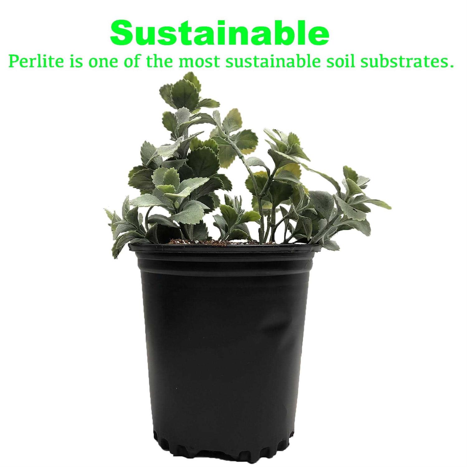 Viagrow 4 cu. ft. Perlite