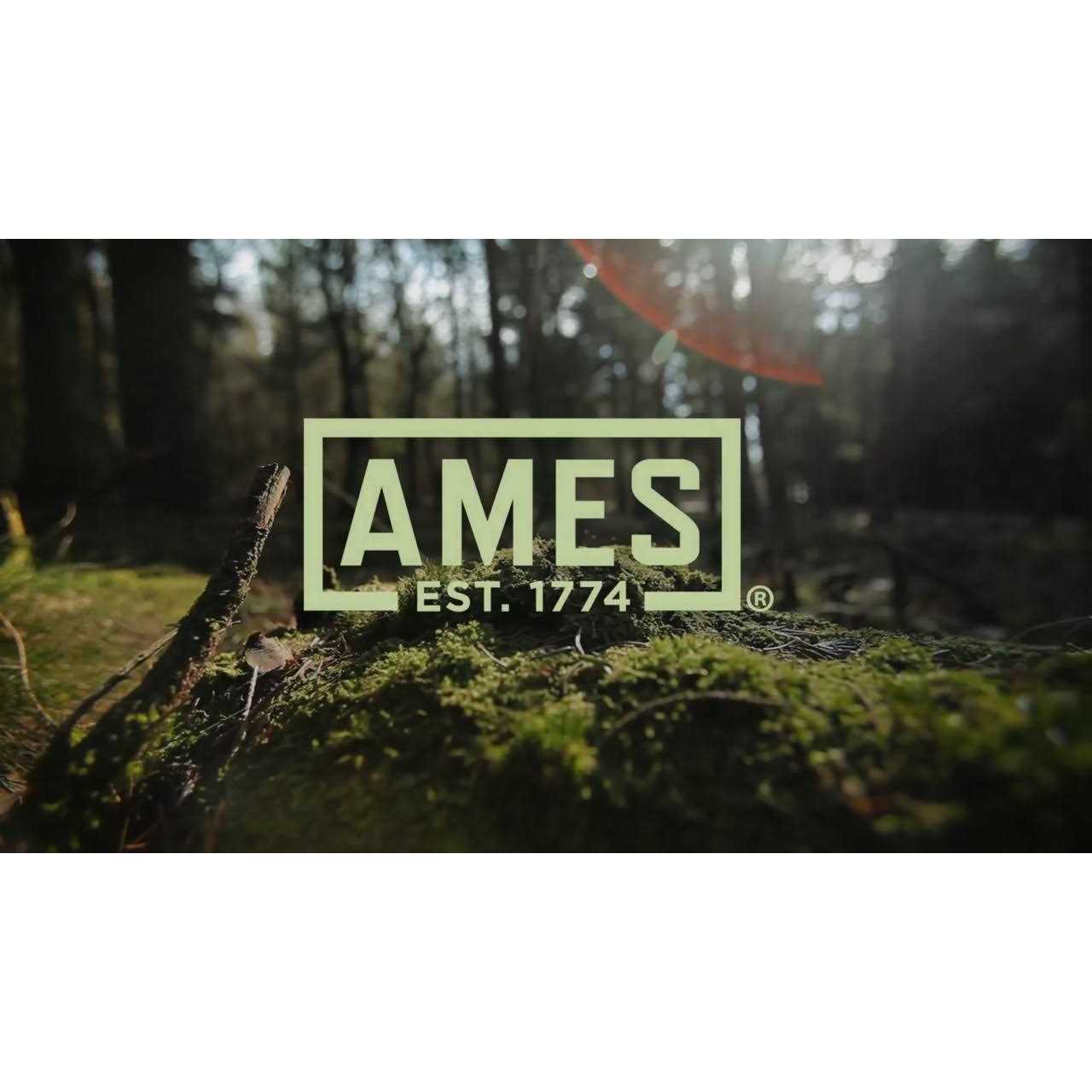 Ames 4-Tine Forged Spading Fork 2916400