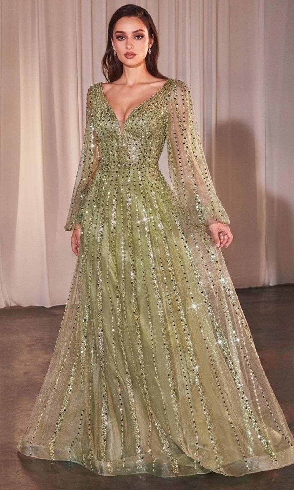 Bishop Sleeve Sheer Evening Gown