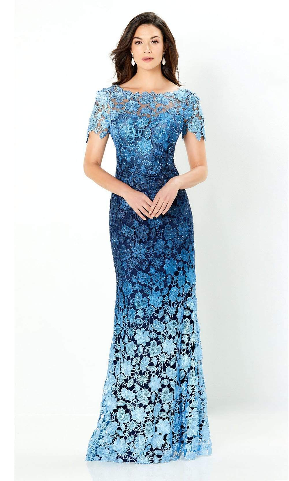 119958 Ombre Lace Trumpet Dress