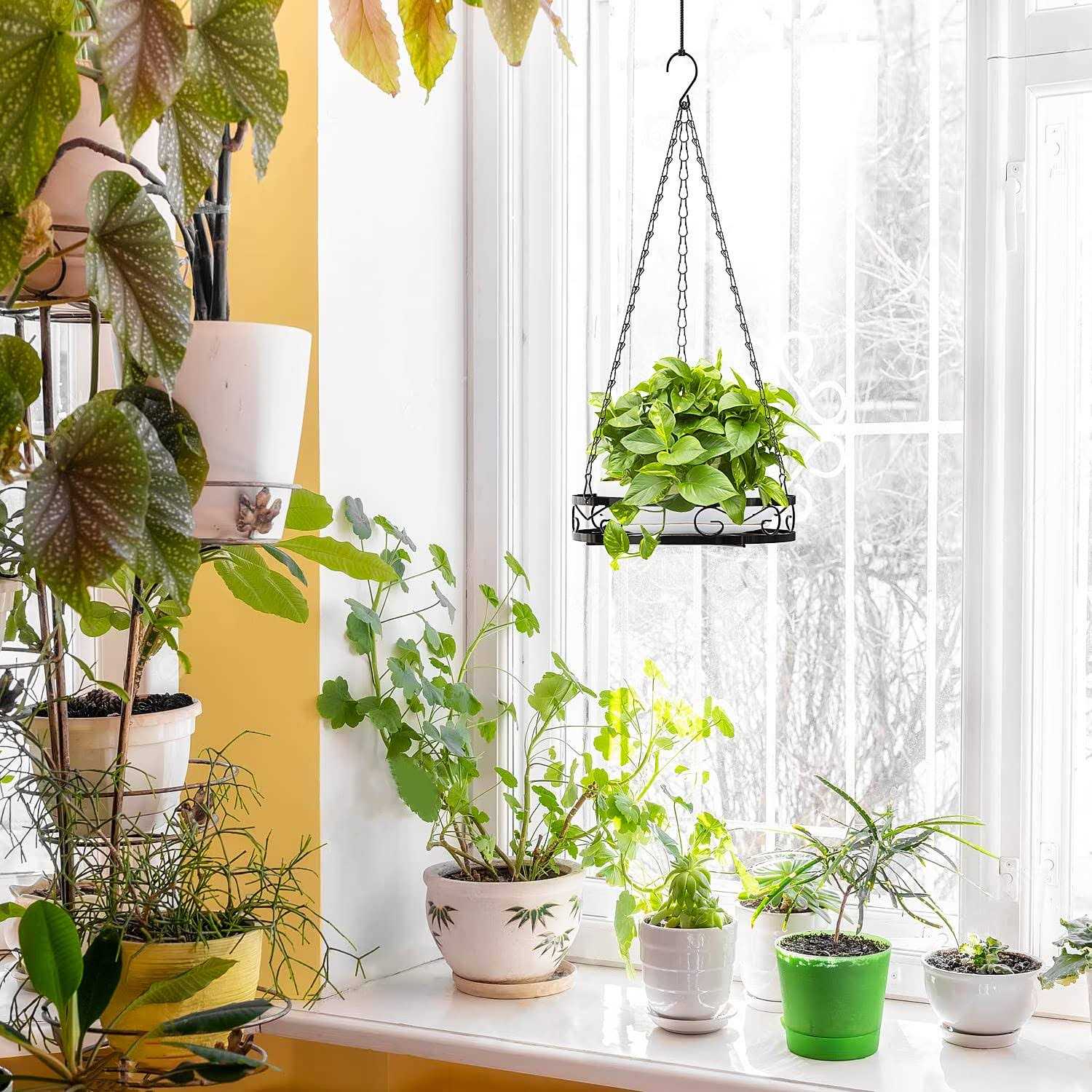 Venkuber Plant Hanger Hanging Plant Shelf for Window