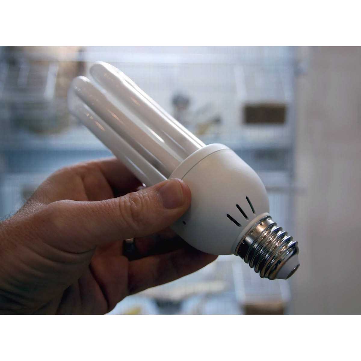 The Bird Toy Store PureSun Full Spectrum + UV Bird Bulb