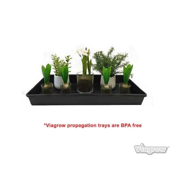 Viagrow 10 in. x 20 in. Extra-Strength Quad Seed Starter Propagation Tray