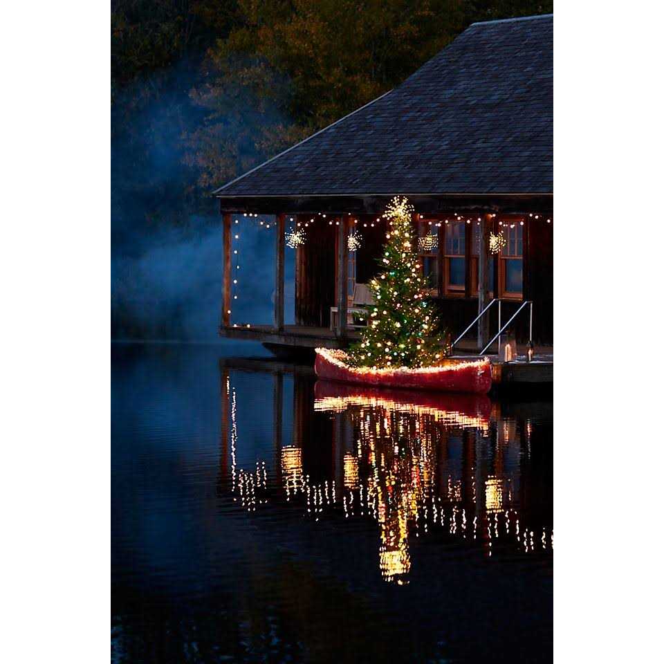 Terrain Stargazer Northstar Pendant Light