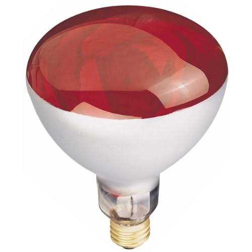 Westinghouse 250W R40 Heat Lamp Incandescent Light Bulb