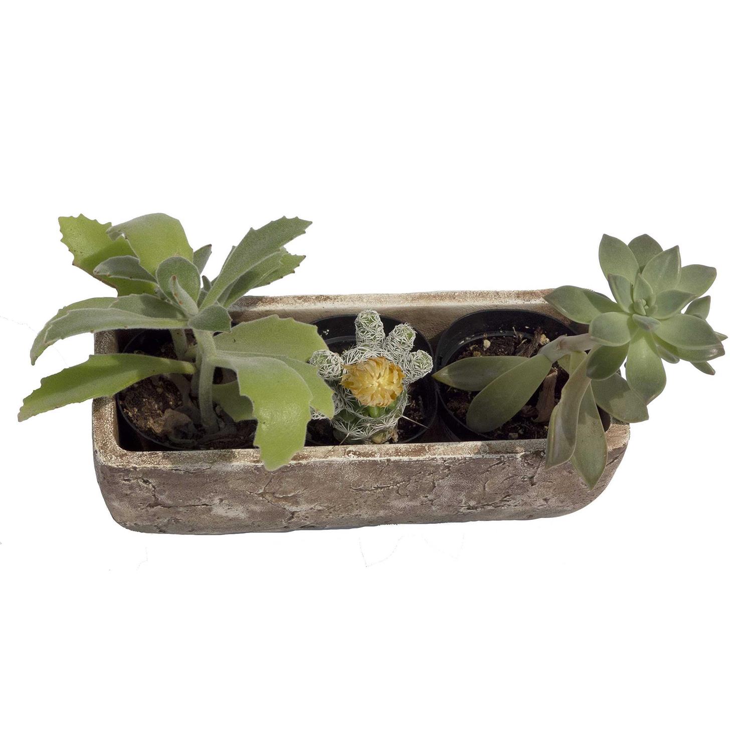 Classic Home and Garden 240001p-432 Dakota Trough